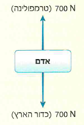 (בספר תרשים)